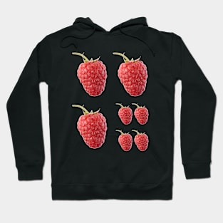 Raspberry Hoodie